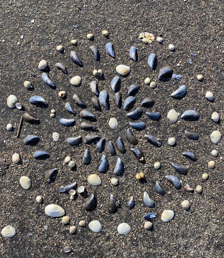 Wierums Huske aan de Waddenzee Unesco Werelderfgoed Buitenkant foto